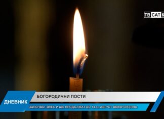 Дневник 31.07.2026