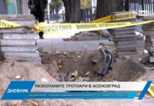 Дневник 29.09.2026
