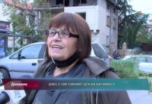 Дневник 02.11.2021