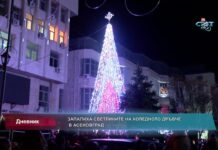 Дневник 06.12.2021