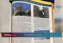 Дневник 09.02.2022