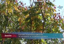 Дневник 21.02.2022