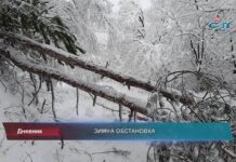 Дневник 28.02.2022