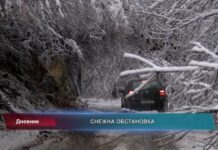 Дневник 02.02.2022