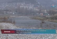 Дневник 10.03.2022