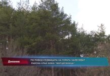 Дневник 29.03.2022