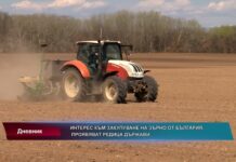 Дневник 07.04.2022