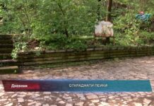 Дневник 20.04.2022