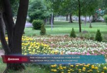 Дневник 06.06.2022