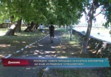 Дневник 08.06.2022