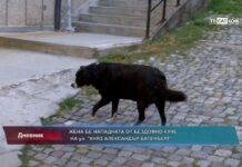 Дневник 30.09.2022