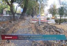 Дневник 03.11.2022