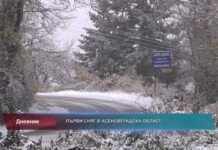 Дневник 28.11.2022