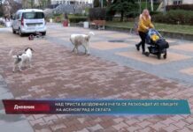 Дневник 12.01.2023