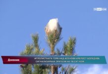 Дневник 19.01.2023