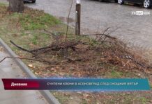 Дневник 20.01.2023