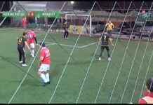 АМФЛ Червена звезда – Младост 18.11.2016