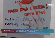 Дневник 22.05.2023