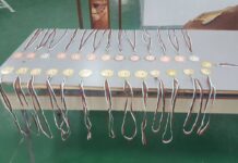 Пореден успех за асеновградските щанги