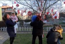 Родители, деца и учители украсиха дръвчета с ръчно изработени мартенички в двора на ДГ „Мир“ в Асеновград