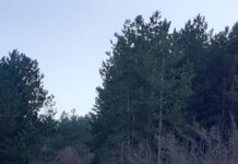 Стартират процедура за промяна на предназначението на терени по пътя за Мулдавския манастир