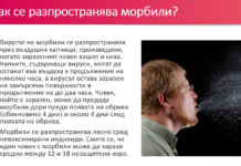 РЗИ-Пловдив с информация за вирусното заболяване морбили