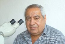 Отиде си директорът на Палеонтологичния музей