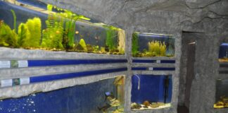 Природонаучният музей в Пловдив бе обявен за „Музей на годината“