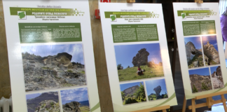 Родопите отвъд познатото