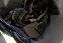 Незаконни ли са изкопите при каптажа над с. Червен, защо в района има разпилени находки