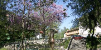 Находището на минерална вода в Нареченски бани ще бъде дадено за управление от община Асеновград