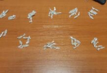 Дилърка на наркотици бе задържана от служителите на реда в Пловдив 