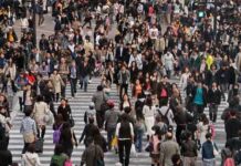 Населението на България се топи драстично