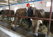 Животновъдите получиха още над 30 млн. левa