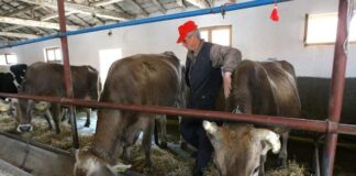 Животновъдите получиха още над 30 млн. левa