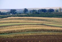 Държавата в подкрепа на земеделците
