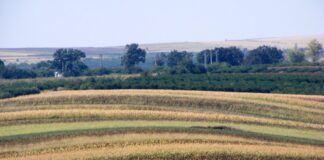 Държавата в подкрепа на земеделците