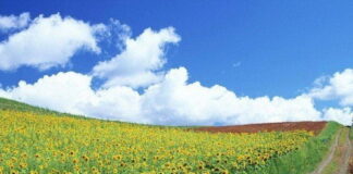 Финансово подпомагане за млади земеделски стопани