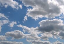 Без сняг и през февруари в Асеновград