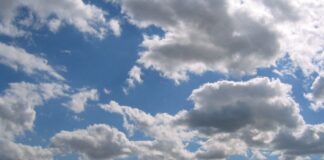 Без сняг и през февруари в Асеновград