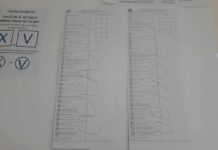 Под 30 процента е избирателната активност в Асеновград, отчетена към 20.00 часа