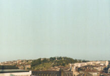 На 21 ноември ще се проведе кампания за профилактика на остеопорозата