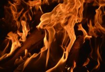 Спасиха гората над Куклен