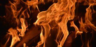 Спасиха гората над Куклен