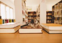 МОН обяви новите дати на ученическите олимпиади