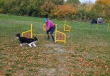 Двудневно аджилити състезание се провежда на 40-те извора край Асеновград