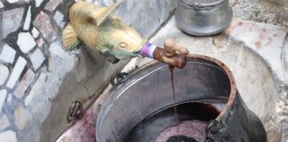 На Трифон Зарезан отново ще тече вино от чешма в Асеновград