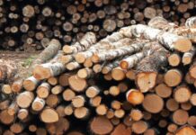 Над 500 заявления за помощ за отопление са приети в ДСП –Асеновград в рамките на седмица