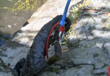 Съвместна инициатива на РИОСВ – Пловдив и Община Асеновград