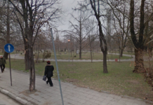 Търсят 35 работника за озеленяване